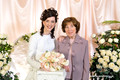 Salmon Pink Background