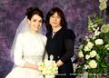 Mauve Background
